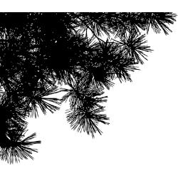Pine Silhouettes Mounted Rubber Stamp / Sello de Goma Montado Silueta de Pinos