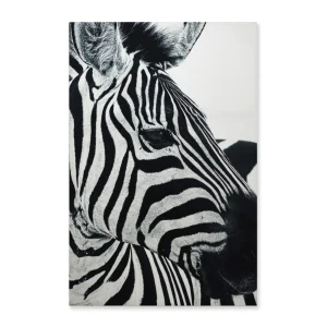 Cuadro Decorativo Cebra Fondo Blanco XL 120X80 cm - Impresion en Tela