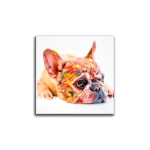 Cuadro Decorativo Perro Cara Pintado L 60X60 cm - Impresion en Tela