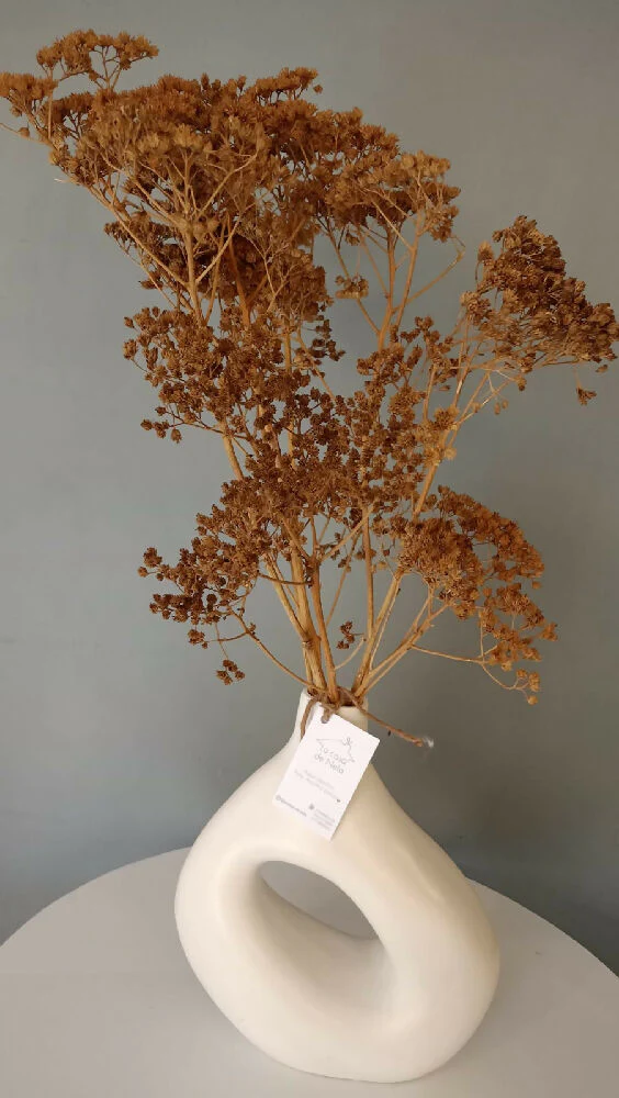 Florero Silvestre pequeño blanco en cerámica - Imagen 2