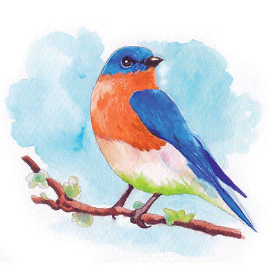 Aqua by Spectrum Noir Primary / Marcadores de Artista Acuarelables - Imagen 4