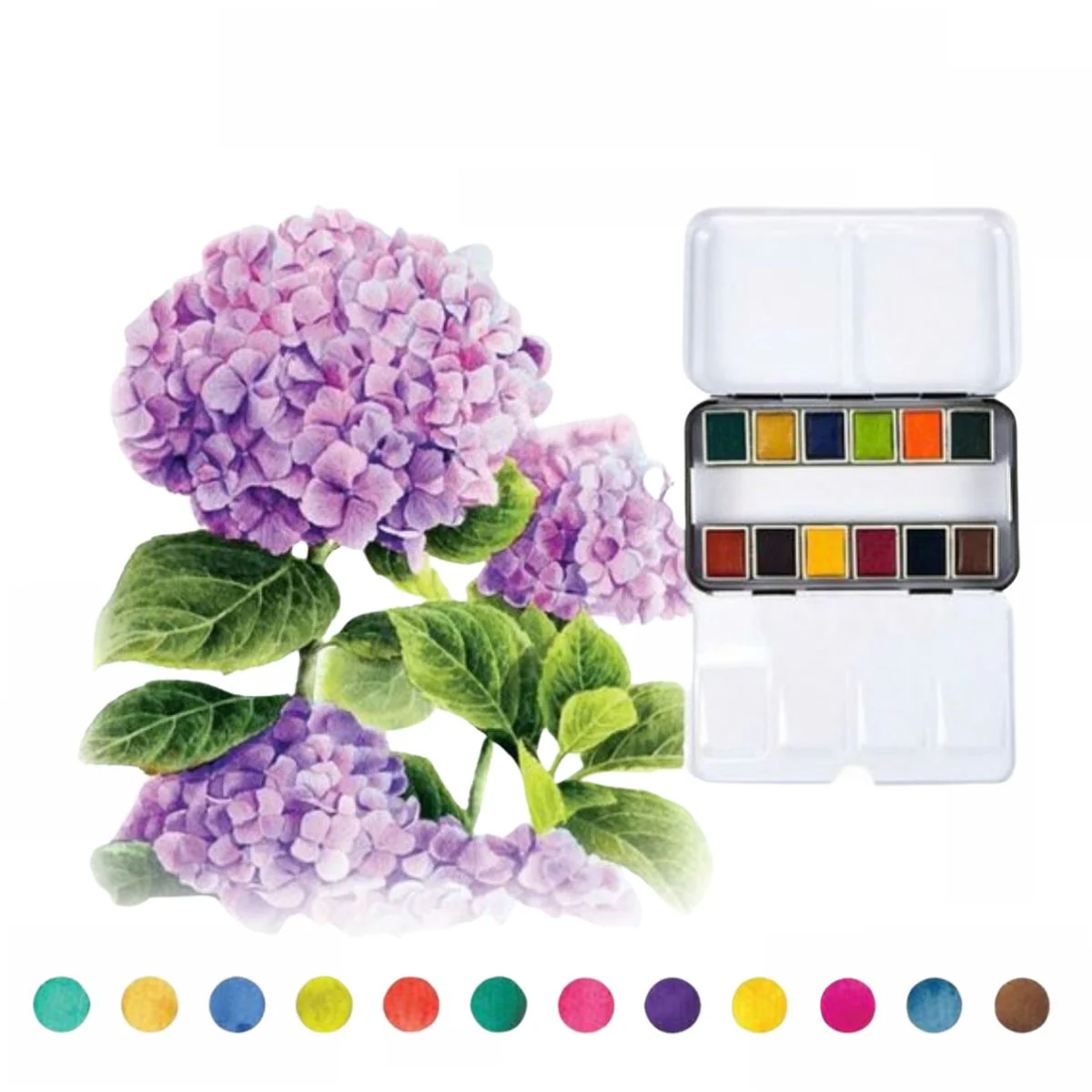 Watercolor Confections Tropicals / Estuche de Acuarelas Tonos Tropicales