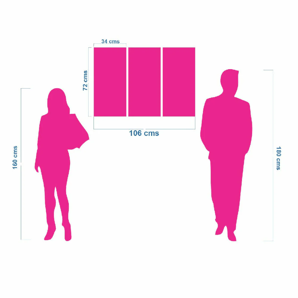 Lienzo Tríptico Safari en Blanco y Negro Set X3 60x43Cm c/u - Imagen 5