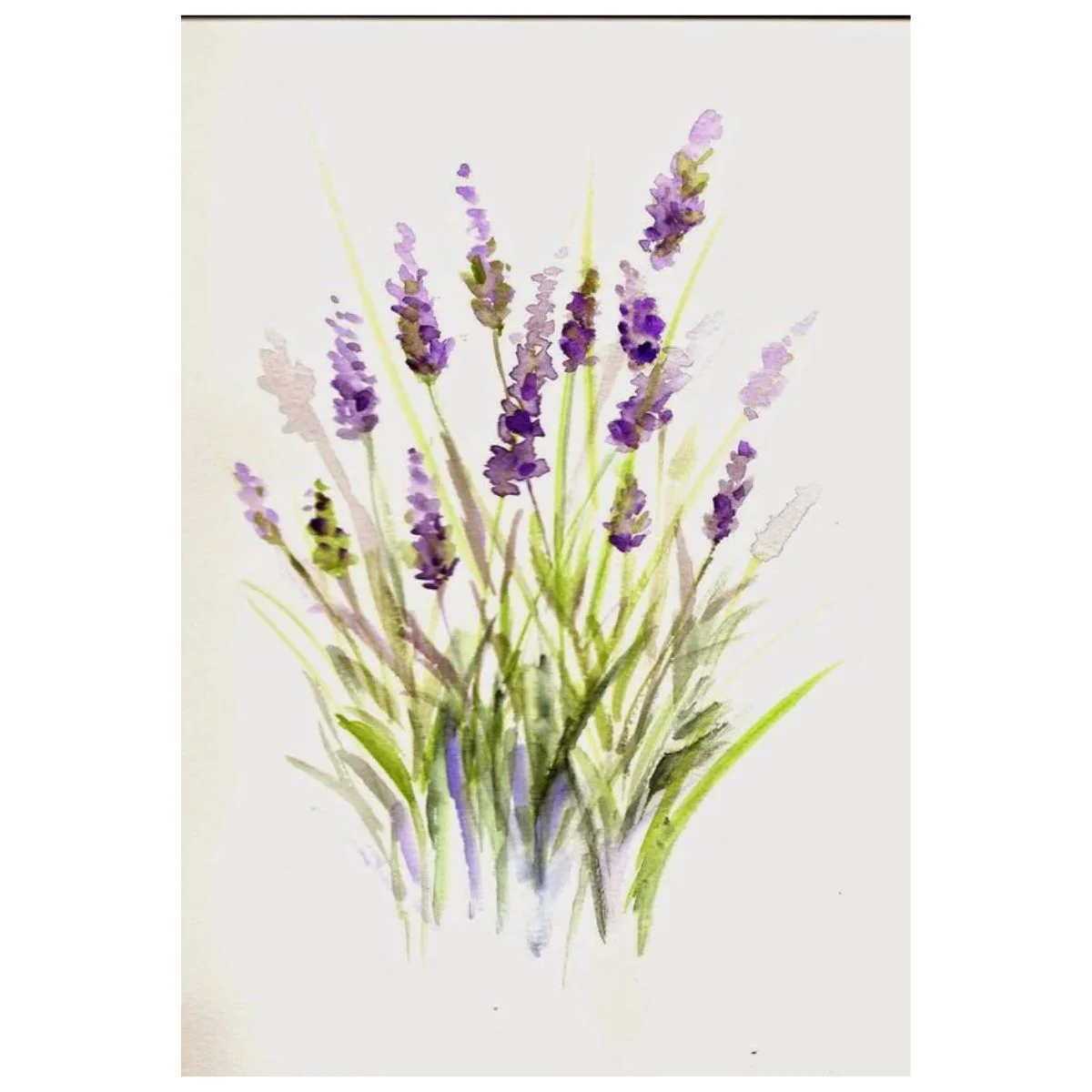 Watercolor Pencils and Paints / Lapices y Acuarelas - Imagen 3