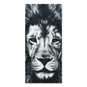 Cuadro Decorativo Leon M 70x45 cm - Impresion en Tela Poliester