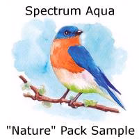 Aqua by Spectrum Noir Nature / Marcadores de Artista Acuarelables - Imagen 3