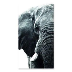 Cuadro Decorativo Elefante M 70x45 cm - Impresion en Tela Poliester