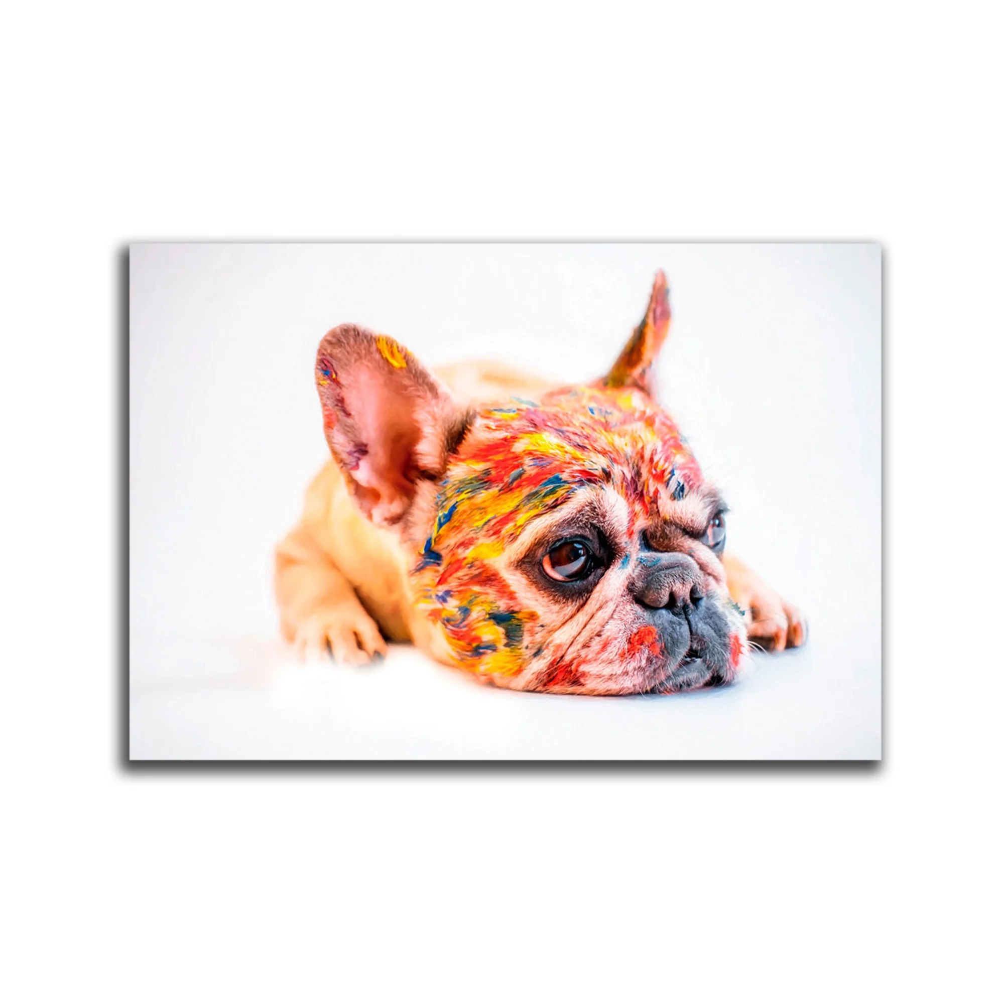 Cuadro Decorativo Perro Cara Pintado XL 120X80 cm - Impresion en Tela