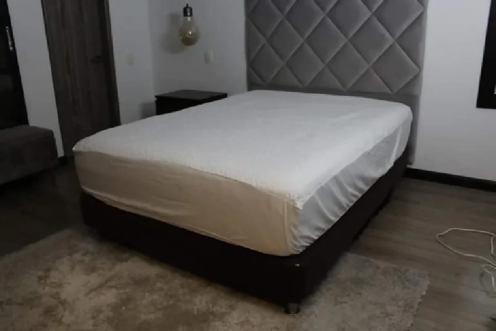 Protector colchón king PTC01-KN - Imagen 2