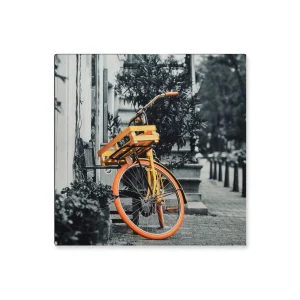 Cuadro Decorativo Bicicleta S 30X30 cm - Impresion en Tela