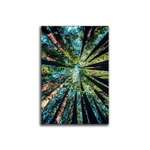Cuadro Decorativo Bosque XL 120X80 cm - Impresion en Tela Poliester