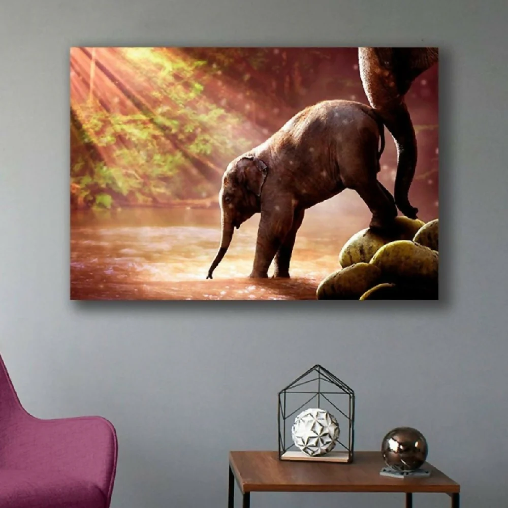 Cuadro Decorativo Elefante Bebe XL 120X80 cm - Impresion en Tela - Imagen 2