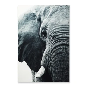 Cuadro Decorativo Elefante XL 120X80 cm - Impresion en Tela Poliester