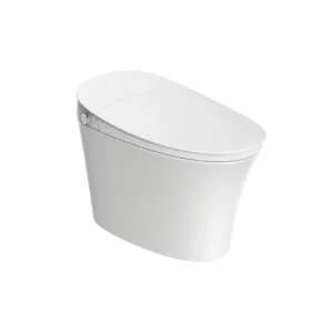 Sanitario Corona Nyren Plus